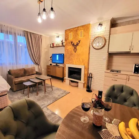 Apartment Deluxe Studio Grand Monastery