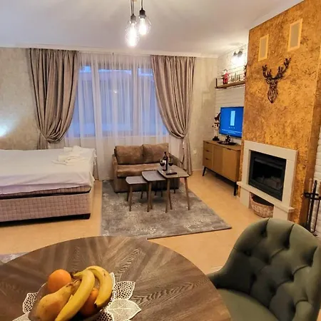 Apartment Deluxe Studio Grand Monastery *
