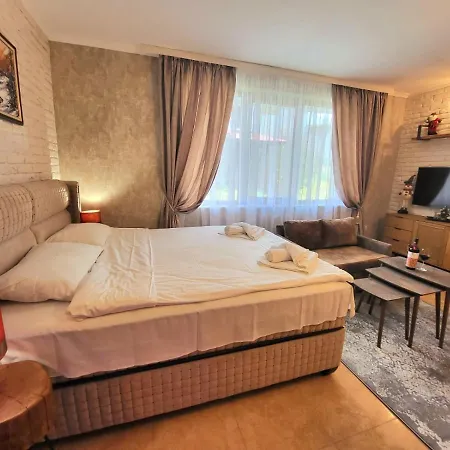 Apartment Deluxe Studio Grand Monastery *